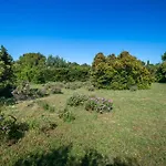 Belle Provençale Piscine Terrain *