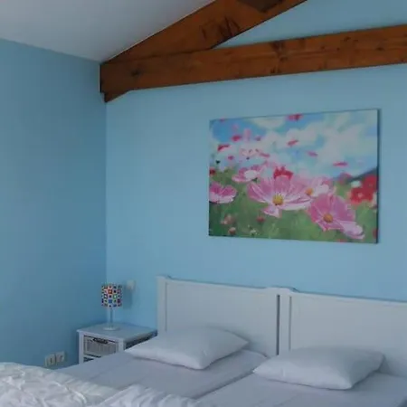 Belle Provencale Piscine Terrain Pujaut