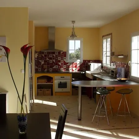 Belle Provencale Piscine Terrain Holiday home Pujaut