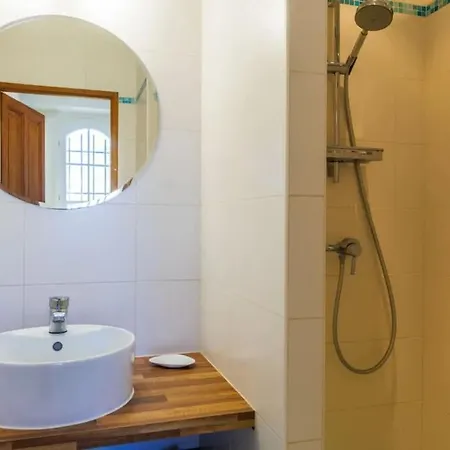 Belle Provencale Piscine Terrain Holiday home