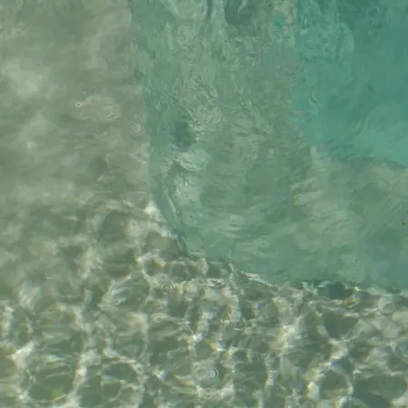 Belle Provencale Piscine Terrain *
