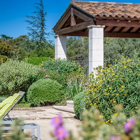 Belle Provencale Piscine Terrain *