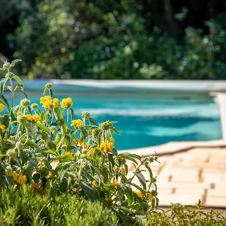Belle Provencale Piscine Terrain Prázdninový dům