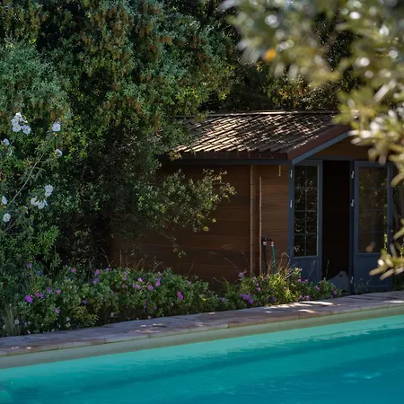 Belle Provencale Piscine Terrain * Pujaut
