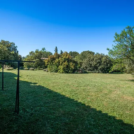 Belle Provencale Piscine Terrain Pujaut