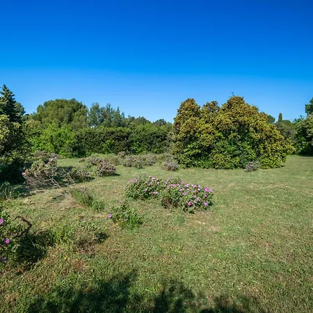 Belle Provencale Piscine Terrain *