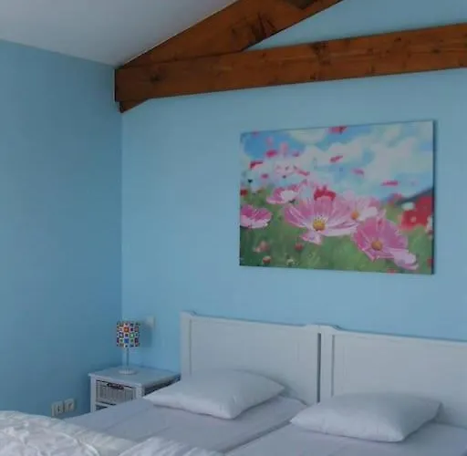 Belle Provencale Piscine Terrain Pujaut
