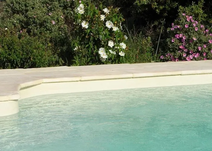 Belle Provencale Piscine Terrain *