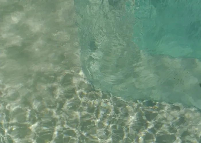 Belle Provencale Piscine Terrain *